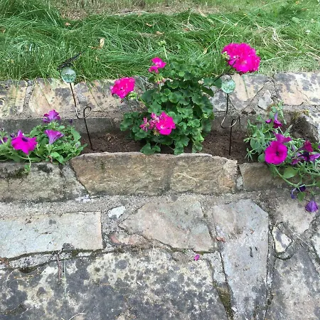Gitedordogne Βίλα Jumilhac-le-Grand